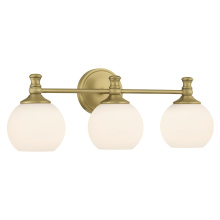 Bathroom Fixtures